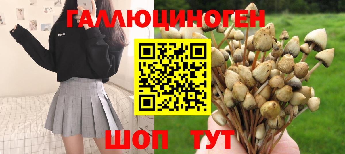Галлюциногенные грибы мицелий  Галлюциногенные грибы Psilocybine cubensis  Урюпинск  Вход с VPN 
